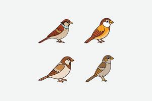 sparrow bird set isolated on white vector