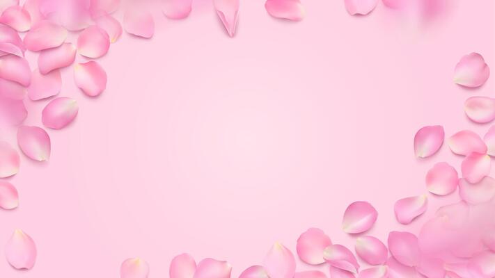 frame with lying rose petals and copy space. Horizontal editable template with place for your text. Floral illustration of realistic sakura petal with shadow for background, wallpaper, banner.