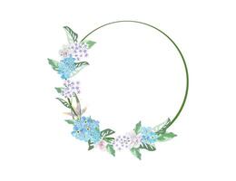 Scorpion grasses flower blossom flow on frame background vector