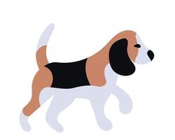 Stylish flat art of a walking beagle, embodying loyalty and companionship. Ideal for petrelated designs, childrens content, or simple, elegant illustrations. vector