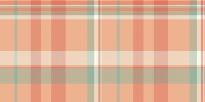 Subtle pastel plaid pattern. Perfect for backgrounds, textiles, and website design. Elegant and versatile, this soft texture evokes feelings of calmness and warmth. vector