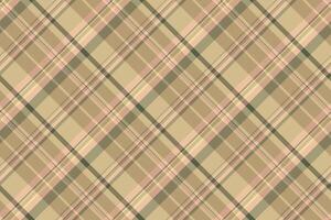 Classic plaid pattern in warm, neutral tones. Perfect for backgrounds, textiles, or adding a touch of traditional elegance to your designs. Versatile texture. vector