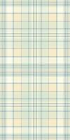 Trousers texture check pattern, stationary plaid fabric . Retail tartan textile seamless background in light and pastel colors. vector