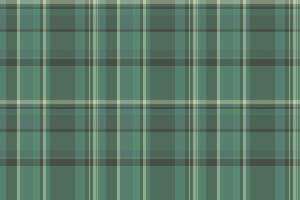 Subtle green and beige plaid pattern. Perfect for textile design, website backgrounds, or stylish stationery. This sophisticated, repeating texture evokes feelings of calm and tradition. vector