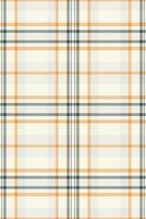 Floor tartan fabric seamless, stripe background texture pattern. Rustic textile plaid check in white and sterling silver colors. vector