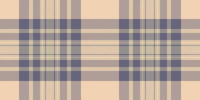 Elegant beige and grey plaid pattern. Perfect for textile design, apparel, fashion, home decor, or website backgrounds. Subtle yet stylish, this seamless texture evokes warmth and sophistication. vector
