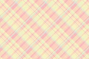 Household fabric texture check, graceful pattern tartan plaid. Carpet seamless background textile in light and gentle gray colors. vector