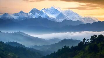 The mountains are covered with fog and trees photo