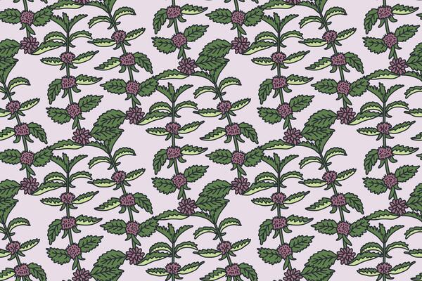 Botanical floral seamless pattern with sprig mint illustration. Repeating mint herb plants with Flowers Leaves Stems in pastel purple background. Graphic design for Fashion Textile Wedding Card