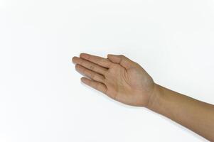 hand and arm gesture designed to hold or present an invisible object or product. The hand is in a palmar view, open. photo