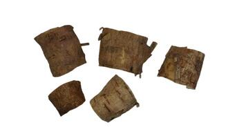 pieces of cassava skin of wood on a white background photo