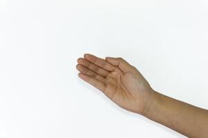Open a woman's hand, palm up isolated on white background. photo