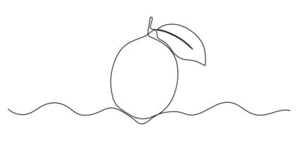 Lemon one line illustration. continuous outline isolated sketch of fruit, drawing vector