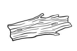 Dry tree sketch isolated on white background. Hand drawn illustration, wood trunk vector