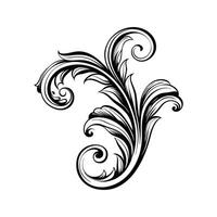 Elegant black and white decorative flourish design illustration for design projects vector