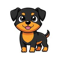 Cute cartoon rottweiler puppy smiling and standing with adorable expression in flat design vector