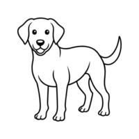 Adorable outline illustration of a friendly labrador puppy standing up against a white background vector