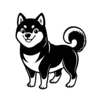 Adorable black and white shiba inu dog standing with a happy smiling expression vector