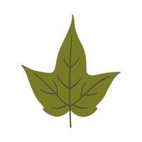 Maple leaf in dark green color. One element isolated on white. Spring or summer background, illustrations vector