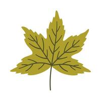 Maple leaf in light green color. One element isolated on white. Spring or summer background, illustration vector