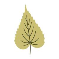 Birch leaf in yellow green color. One element isolated on white. Spring or summer background, illustration vector