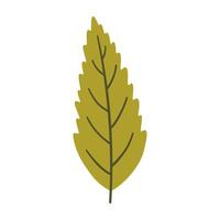 Tree leaf in light green color. One element isolated on white. Spring or summer background, illustration vector