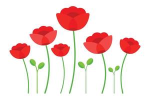 Stylized Red Poppy Flower Arrangement on White Background, Cute and Minimalistic Design vector