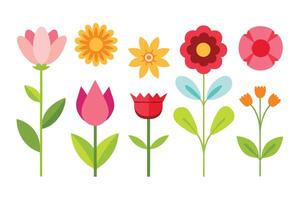 Assorted Flat Flowers Illustration with Stems and Leaves on a White Background vector