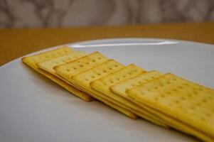 The close up side view of several golden, rectangular crackers arranged in a neat row on a white plate. Ideal for food advertisements or snack related content photo