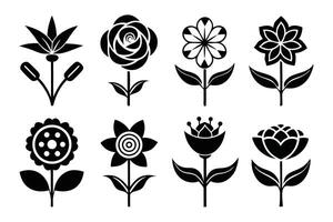 Black and White Flower Illustrations Botanical Designs, Flora Art, Graphics vector