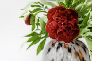 Elegant Floral Composition with Copy Space for Text or Design Peonies photo