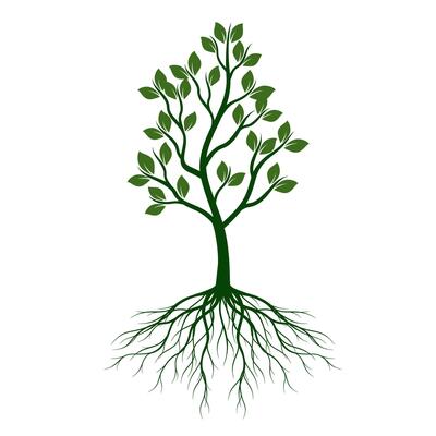 Tree with Leaves and Roots. outline Illustration. Plant in Garden.