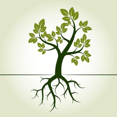 Green Tree and Roots. Outline EPS Illustration.