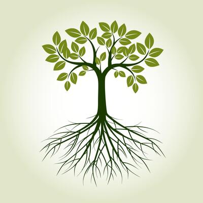Green Tree and Roots. Illustration.