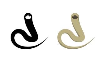 Hookworm, Necator americanus and Ancylostoma duodenale, causing hookworm infection vector