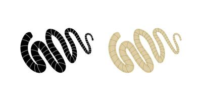 Tapeworm, segmented flatworm, intestinal parasite causing infection vector