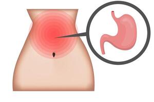 Stomach ache showing highlighted area and close up of organ vector