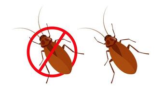 Cockroach with forbidden sign representing disinfestation and pest control vector
