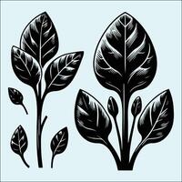 Healthy Spinach Leaves in Black Silhouette vector