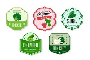 Different retro vegetables banner and labels. Packaging tags with broccoli, cucumber, bok choy, sorrel. Set of seasonal vegetables labels stickers and marks or badges template for packaging vector