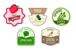Retro fruits banner and labels. Different juices stickers. Packaging tags with soybeans, asparagus, turnip, lettuce. Set of seasonal fruits labels stickers and marks or badges template for packaging vector