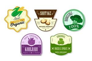 Retro fruits banner and labels. Different juices stickers. Packaging tags with kohlrabi, brussels, broccoli, shiitake. Set of seasonal fruits labels stickers and marks or badges template for packaging vector