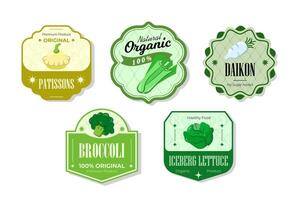 Different retro vegetables banner and labels. Packaging tags with patissons, broccoli, daikon, iceberg. Set of seasonal vegetables labels stickers and marks or badges template for packaging vector