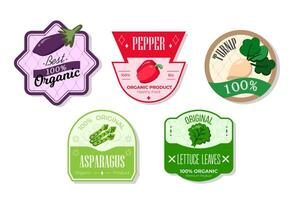 Retro fruits banner and labels. Different juices stickers. Packaging tags with asparagus,pepper,turnip,lettuce leaves. Set of seasonal fruits labels stickers and marks or badges template for packaging vector