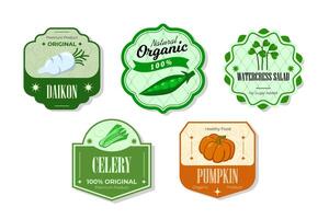 Different retro vegetables banner and labels. Packaging tags with daikon, celery, pumpkin, watercress salad. Set of seasonal vegetables labels stickers and marks or badges template for packaging vector