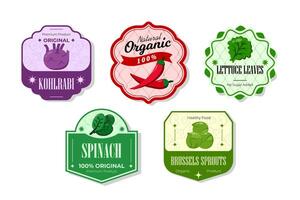 Different retro vegetables banner and labels. Packaging tags with kohlrabi, spinach, brussels sprouts, lettuce. Set of seasonal vegetables labels stickers and marks or badges template for packaging vector