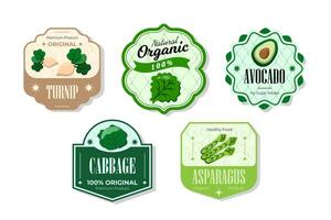 Different retro vegetables banner and labels. Packaging tags with turnip, cabbage, asparagus, avocado. Set of seasonal vegetables labels stickers and marks or badges template for packaging vector