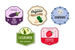Different retro vegetables banner and labels. Packaging tags with eggplant, cauliflower, pepper, champignons. Set of seasonal vegetables labels stickers and marks or badges template for packaging vector