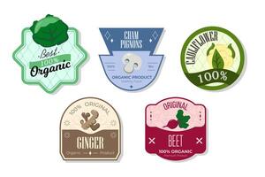 Retro fruits banner and labels. Different juices stickers. Packaging tags with champignons, cauliflower, beet, ginger. Set of seasonal fruits labels stickers and marks or badges template for packaging vector