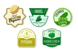 Retro fruits banner and labels. Different juices stickers. Packaging tags with sorrel, cucumber, patissons, iceberg. Set of seasonal fruits labels stickers and marks or badges template for packaging vector
